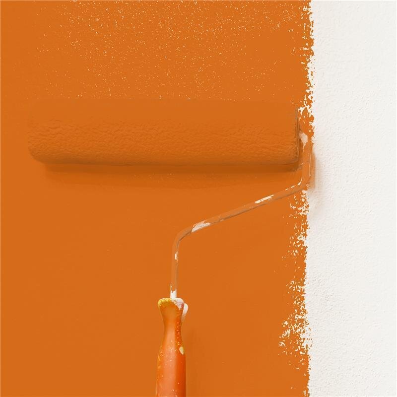 Wandfarbe NCS-S-2070-Y50R Goldenes Terrakotta von Wallcover Colors