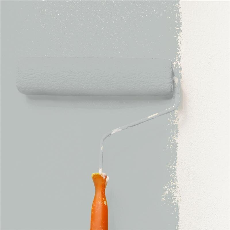 Wandfarbe NCS-S-2502-G Nebelmorgen von Wallcover Colors