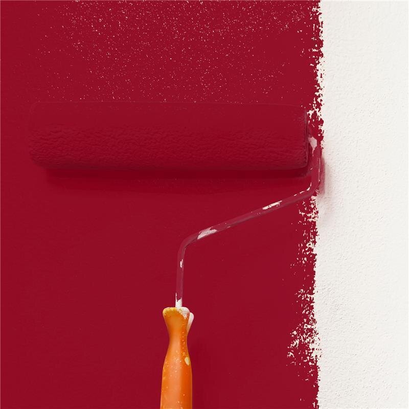 Wandfarbe NCS-S-2570-R Leidenschaftsrot von Wallcover Colors