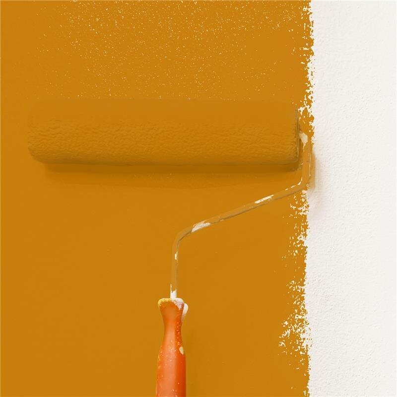Wandfarbe NCS-S-2570-Y30R Goldener Herbst von Wallcover Colors