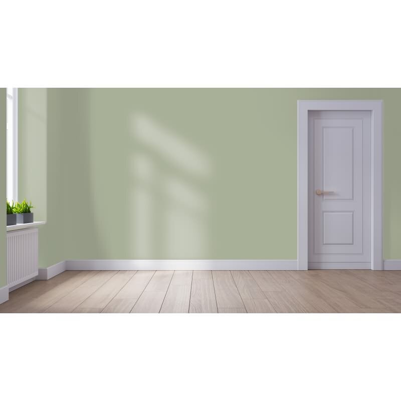 Wandfarbe NCS-S-3010-G50Y Waldlicht von Wallcover Colors