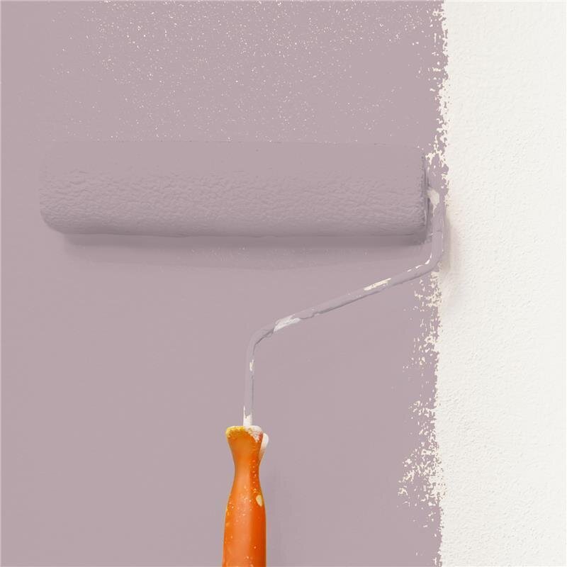 Wandfarbe NCS-S-3010-R20B Abendrot von Wallcover Colors