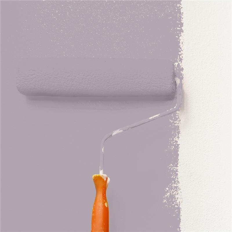 Wandfarbe NCS-S-3010-R40B Rosé Taupe von Wallcover Colors