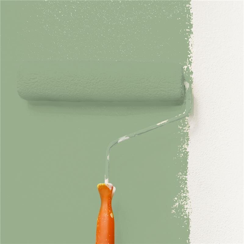 Wandfarbe NCS-S-3020-G30Y Frühlingsfrische von Wallcover Colors