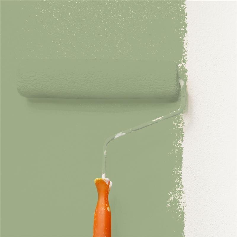 Wandfarbe NCS-S-3020-G40Y Frühlingsfrische von Wallcover Colors