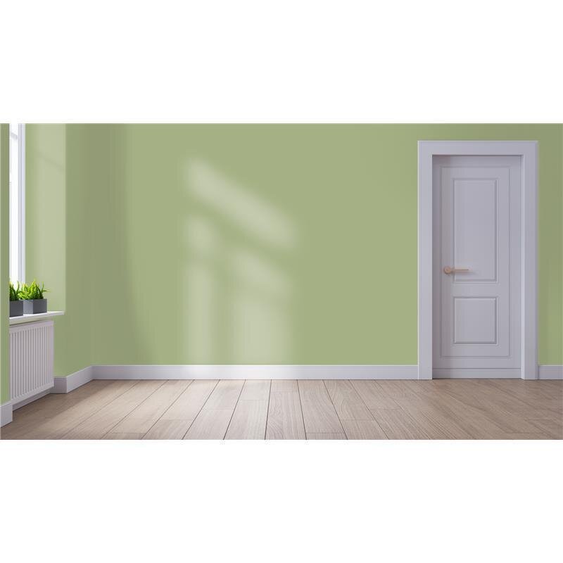 Wandfarbe NCS-S-3020-G50Y Frühlingsfrische von Wallcover Colors