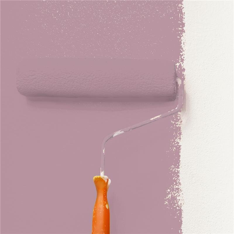 Wandfarbe NCS-S-3020-R20B Rubinrote Eleganz von Wallcover Colors