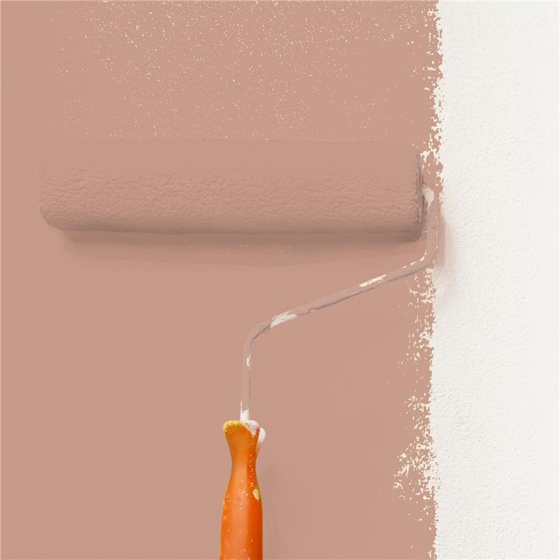 Wandfarbe NCS-S-3020-Y70R Goldene Stunde von Wallcover Colors