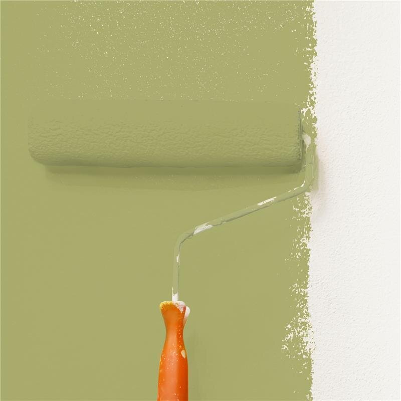 Wandfarbe NCS-S-3030-G70Y Frühlingsfrische von Wallcover Colors