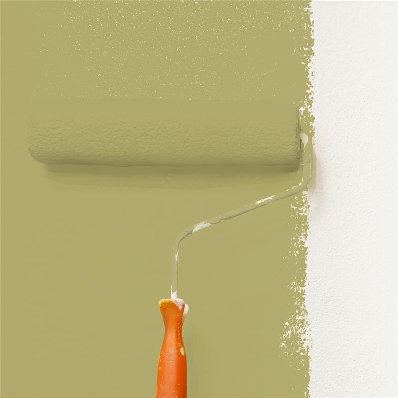 Wandfarbe NCS-S-3030-G80Y Frühlingsfrische von Wallcover Colors