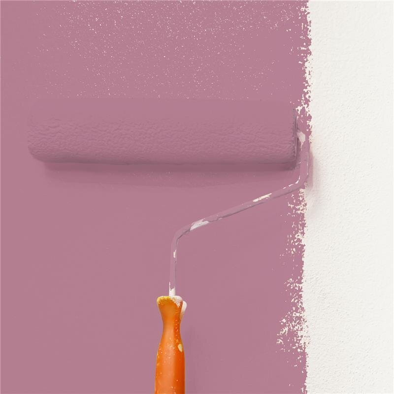 Wandfarbe NCS-S-3030-R20B Rubinblau von Wallcover Colors