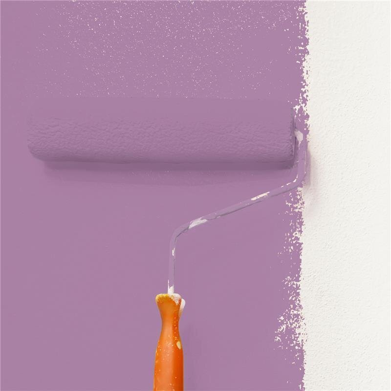 Wandfarbe NCS-S-3030-R40B Elegantes Rubinrot von Wallcover Colors