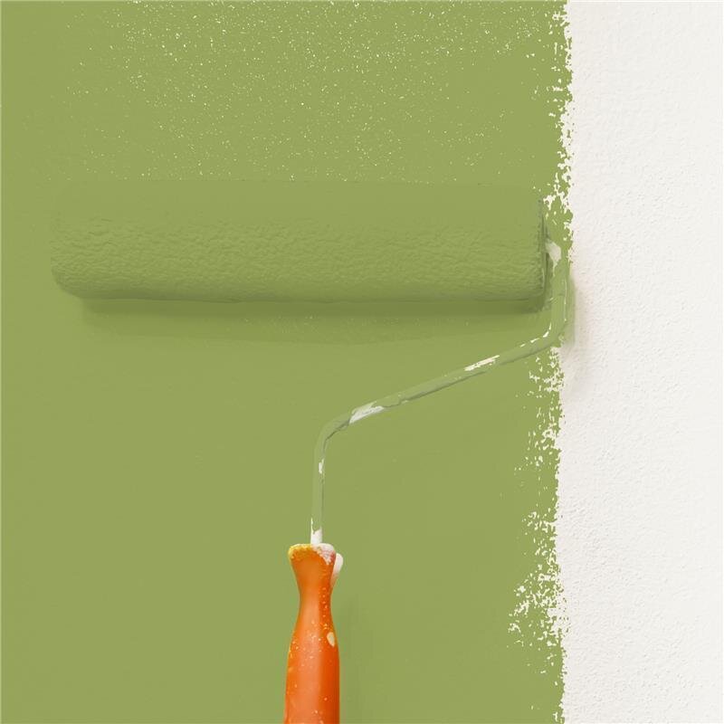 Wandfarbe NCS-S-3040-G50Y Frühlingsgarten von Wallcover Colors