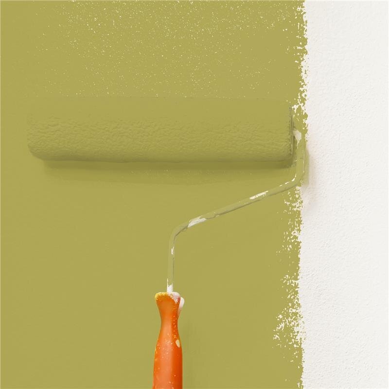 Wandfarbe NCS-S-3040-G80Y Frühlingsfrische von Wallcover Colors