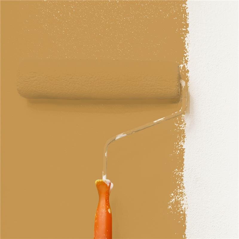 Wandfarbe NCS-S-3040-Y20R Sonnenuntergangszauber von Wallcover Colors