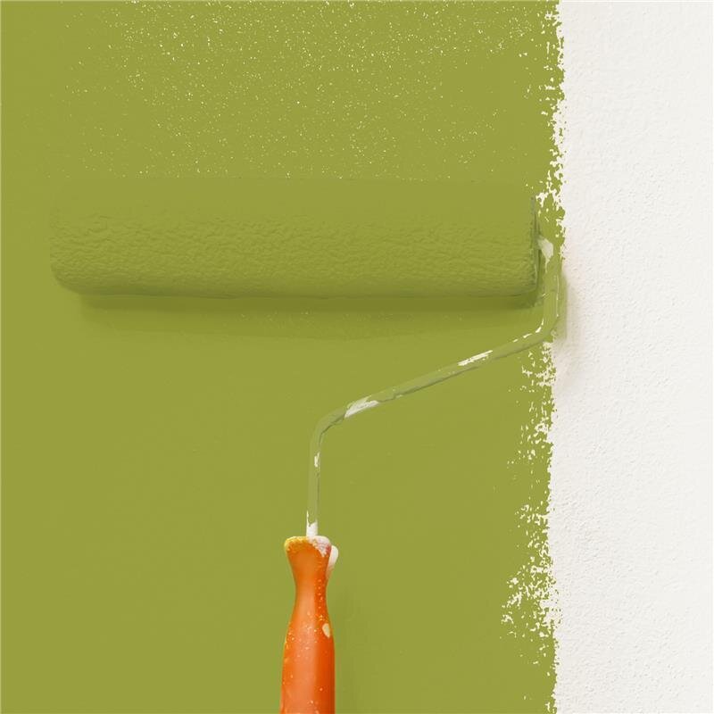 Wandfarbe NCS-S-3050-G60Y Frühlingswald von Wallcover Colors