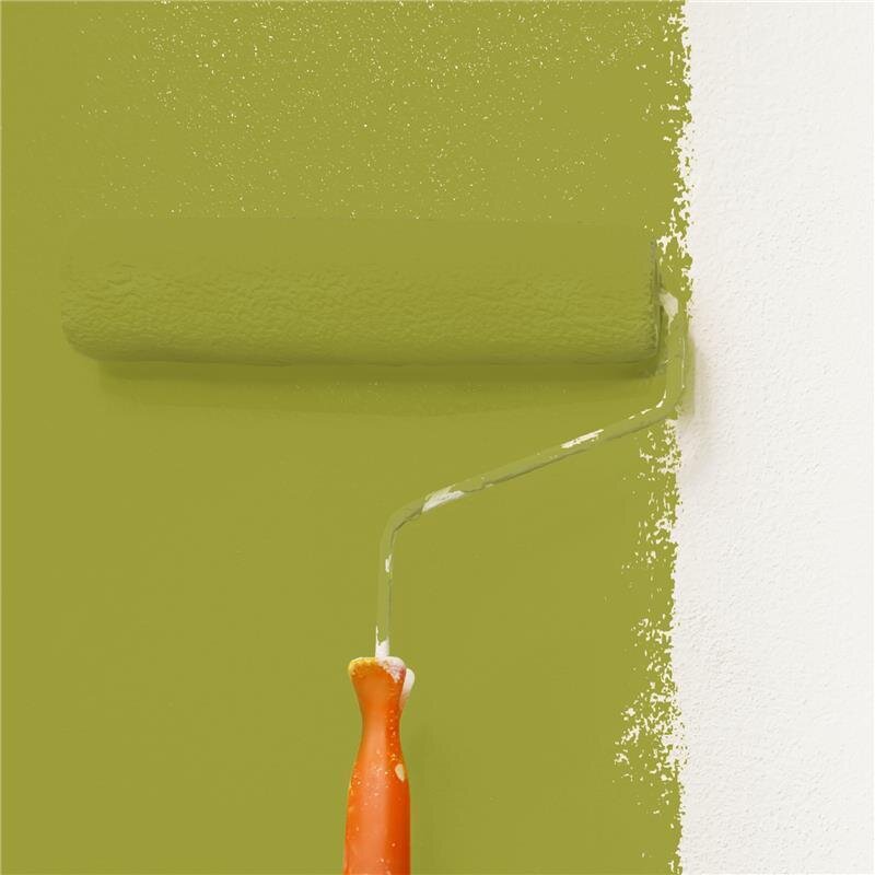 Wandfarbe NCS-S-3050-G70Y Frühlingsgarten von Wallcover Colors