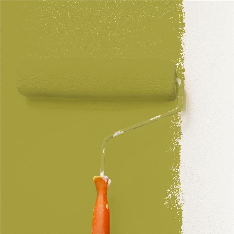 Wandfarbe NCS-S-3050-G80Y Frühlingsgarten von Wallcover Colors