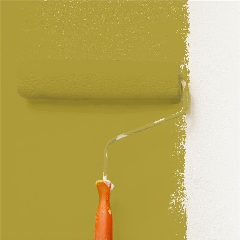 Wandfarbe NCS-S-3050-G90Y Frühlingsfrische von Wallcover Colors