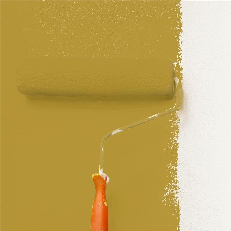 Wandfarbe NCS-S-3050-Y Sonnengold von Wallcover Colors