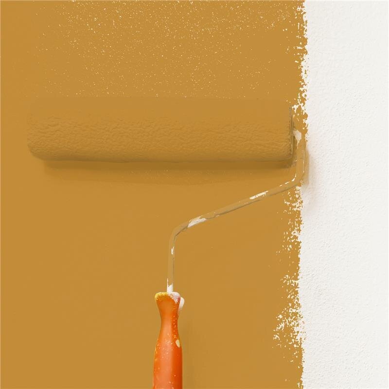 Wandfarbe NCS-S-3050-Y20R Goldener Ocker von Wallcover Colors