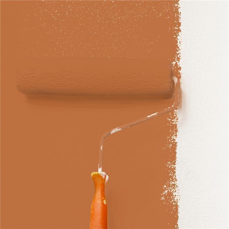 Wandfarbe NCS-S-3050-Y50R Bernsteinrot von Wallcover Colors