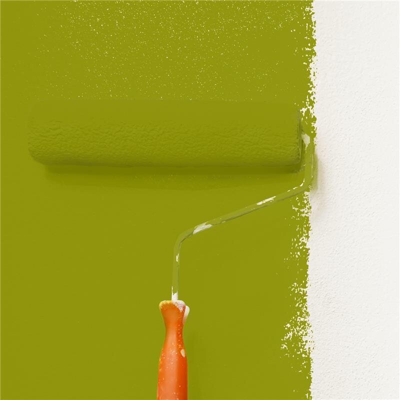 Wandfarbe NCS-S-3060-G60Y Naturgrün von Wallcover Colors