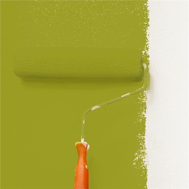 Wandfarbe NCS-S-3060-G70Y Frühlingsmorgen von Wallcover Colors