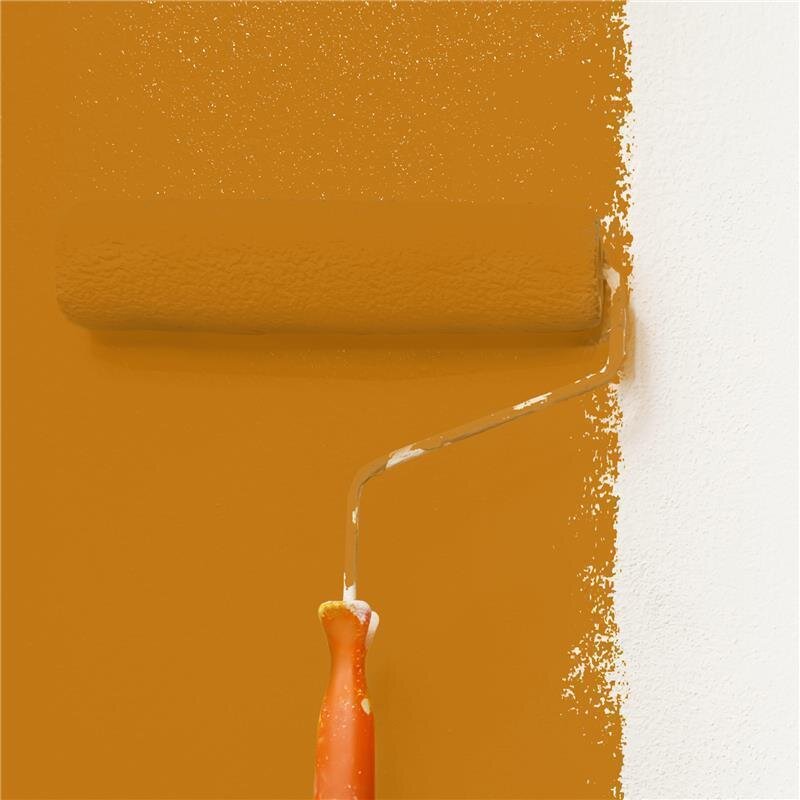 Wandfarbe NCS-S-3060-Y30R Goldener Terrakotta von Wallcover Colors