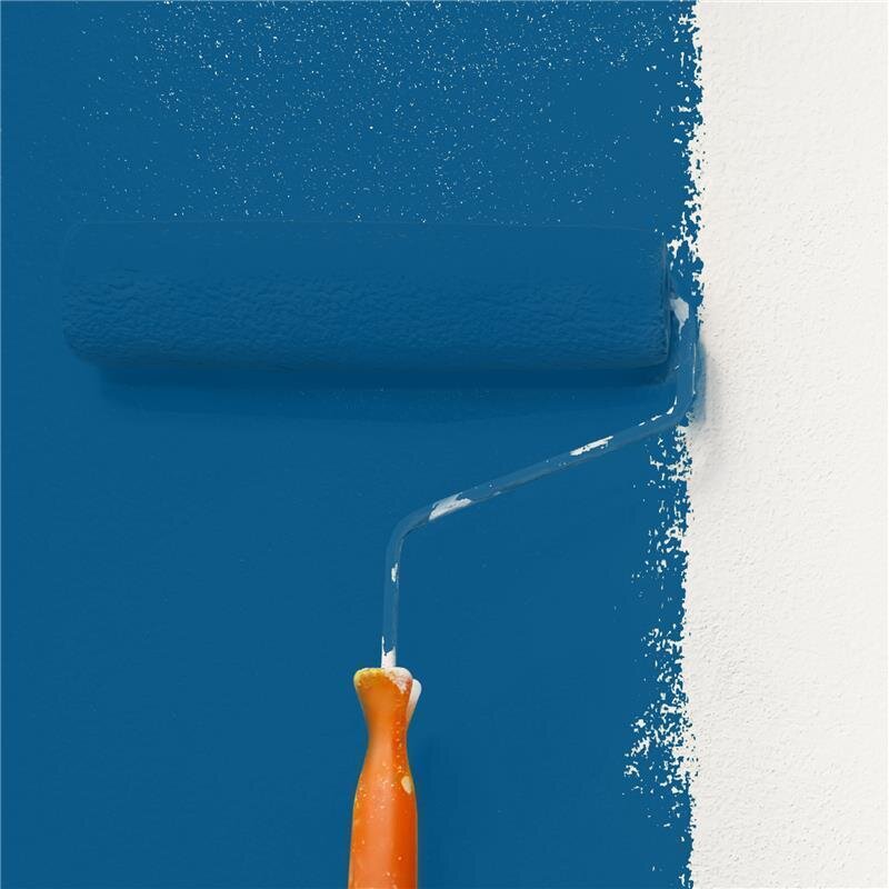 Wandfarbe NCS-S-3065-R90B Ozeanblau von Wallcover Colors