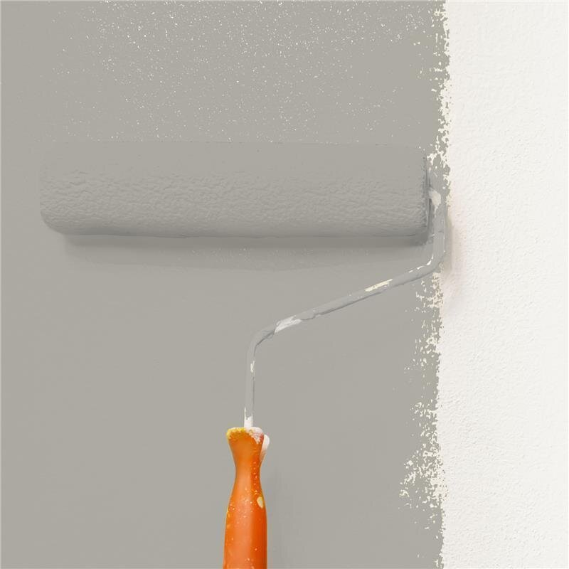 Wandfarbe NCS-S-3502-Y20R Elegantes Beige von Wallcover Colors