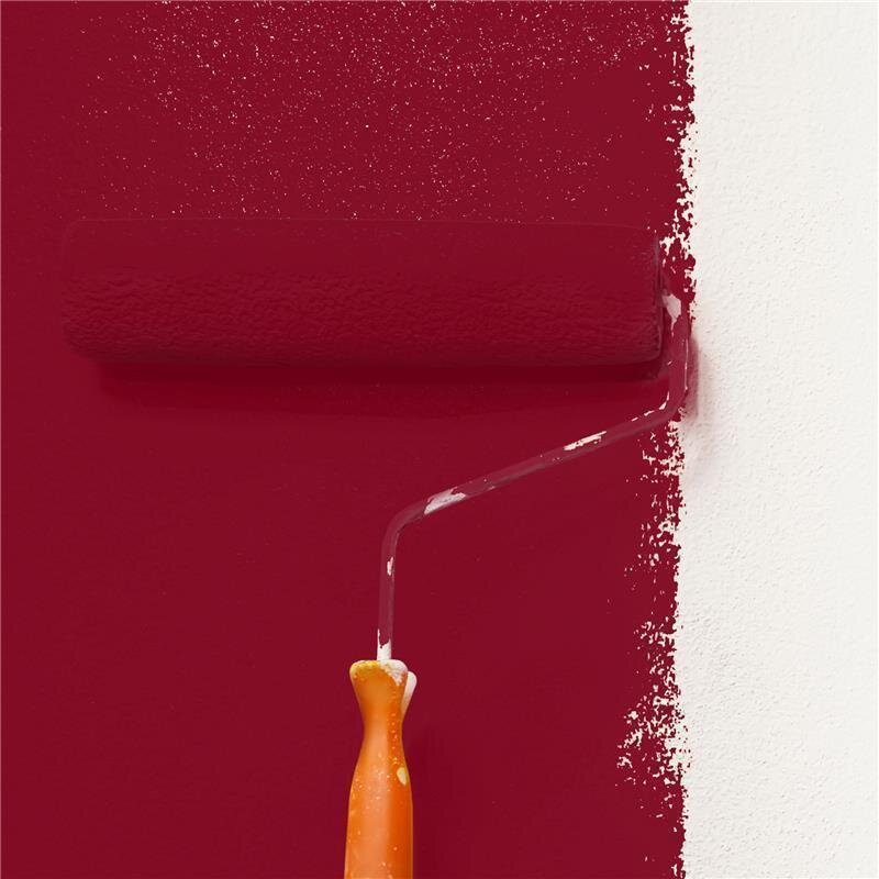 Wandfarbe NCS-S-3560-R Karminrot von Wallcover Colors