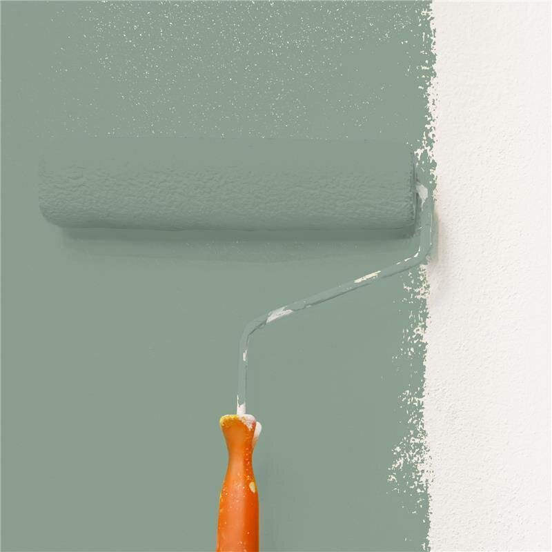 Wandfarbe NCS-S-4010-G10Y Waldlicht von Wallcover Colors