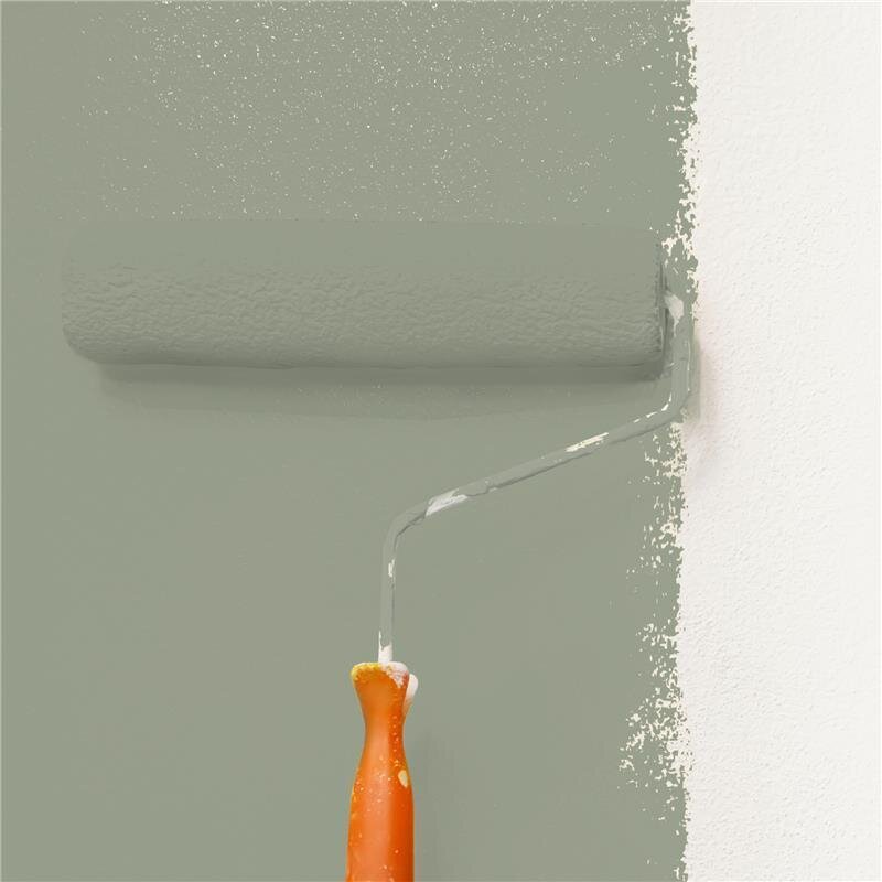 Wandfarbe NCS-S-4010-G50Y Waldlicht von Wallcover Colors