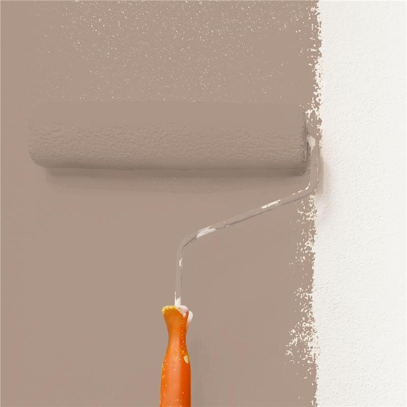 Wandfarbe NCS-S-4010-Y50R Sonniges Terrakotta von Wallcover Colors