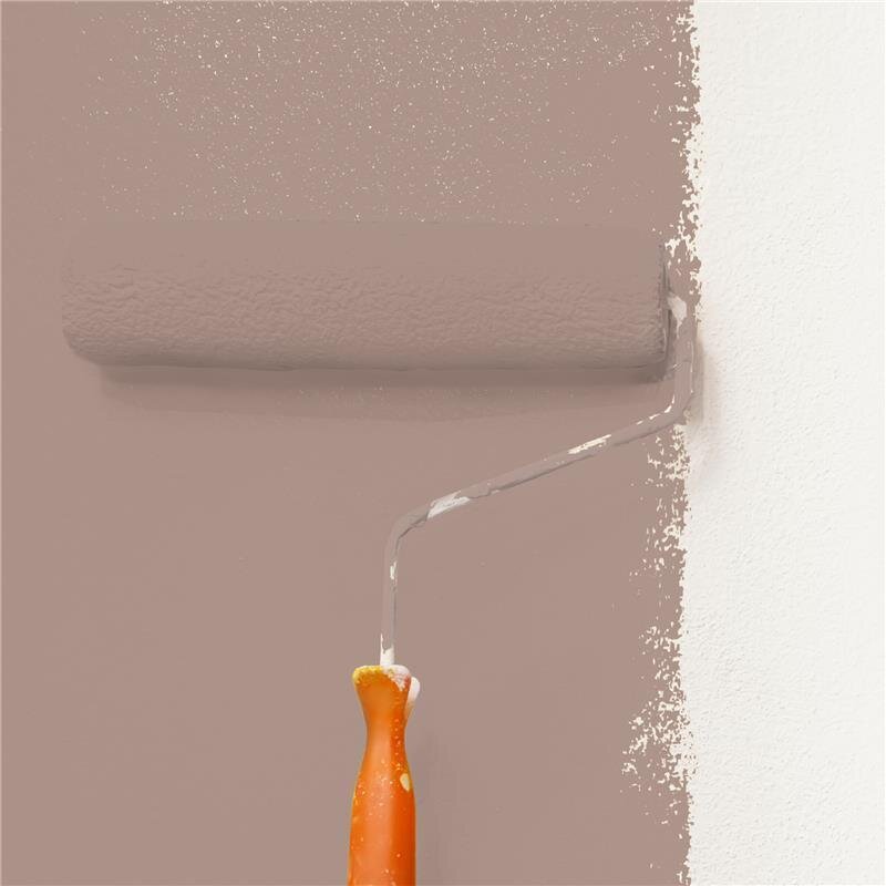 Wandfarbe NCS-S-4010-Y70R Elegantes Beige von Wallcover Colors