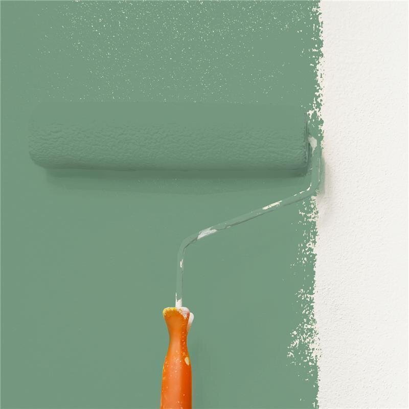 Wandfarbe NCS-S-4020-G10Y Morgentau-Garten von Wallcover Colors