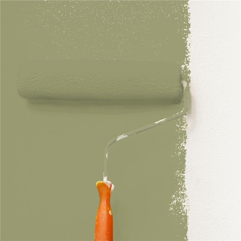 Wandfarbe NCS-S-4020-G70Y Sanftes Frühlingsgrün von Wallcover Colors