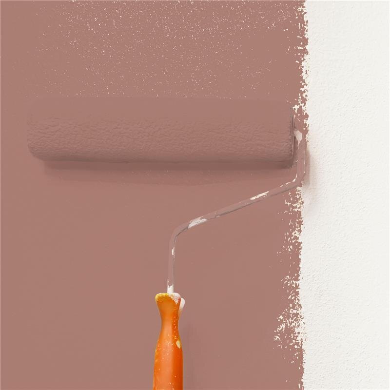 Wandfarbe NCS-S-4020-Y80R Sonnenuntergangszauber von Wallcover Colors