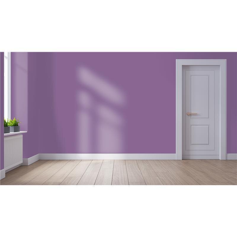 Wandfarbe NCS-S-4030-R50B Abendhimmel von Wallcover Colors