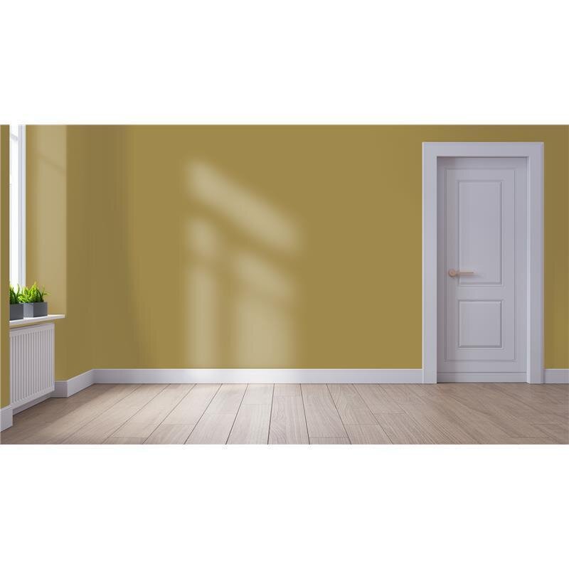 Wandfarbe NCS-S-4030-Y Sonnenstrahl von Wallcover Colors