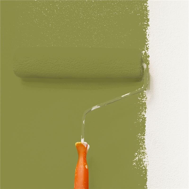 Wandfarbe NCS-S-4040-G70Y Frühlingsfrische von Wallcover Colors