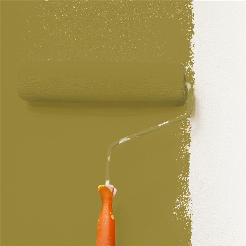 Wandfarbe NCS-S-4040-G90Y Frühlingswiese von Wallcover Colors