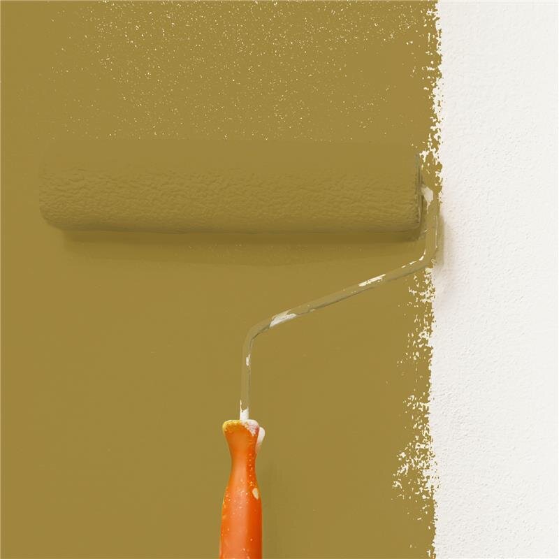 Wandfarbe NCS-S-4040-Y Goldgelb von Wallcover Colors