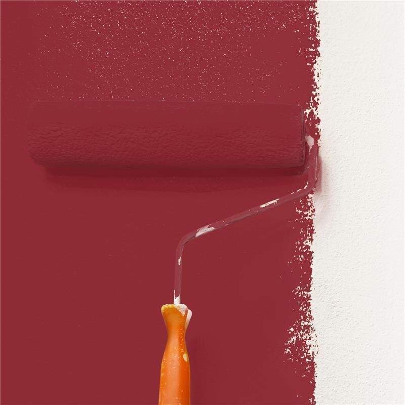 Wandfarbe NCS-S-4050-R Rubinrot von Wallcover Colors