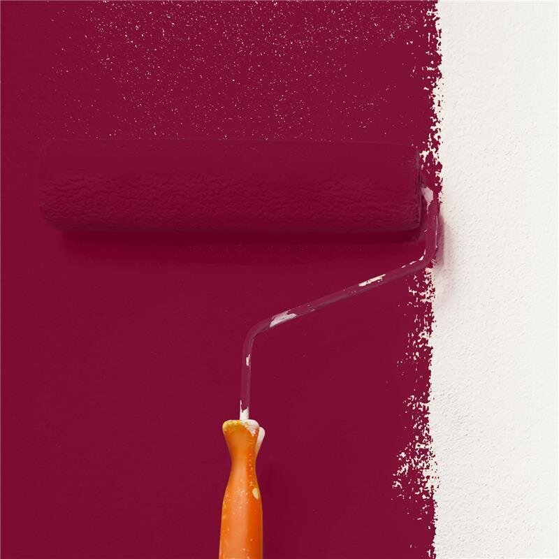 Wandfarbe NCS-S-4050-R10B Rubinblau von Wallcover Colors