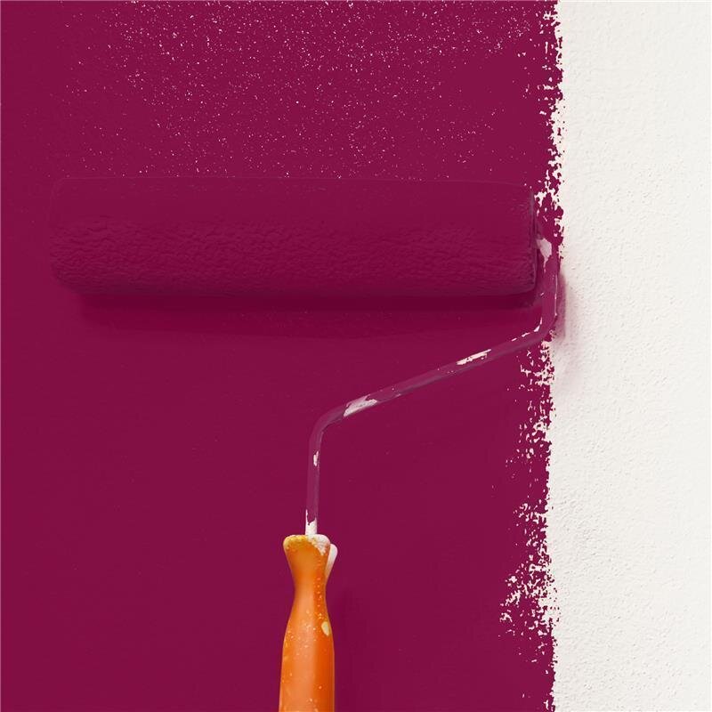 Wandfarbe NCS-S-4050-R20B Samtrot von Wallcover Colors