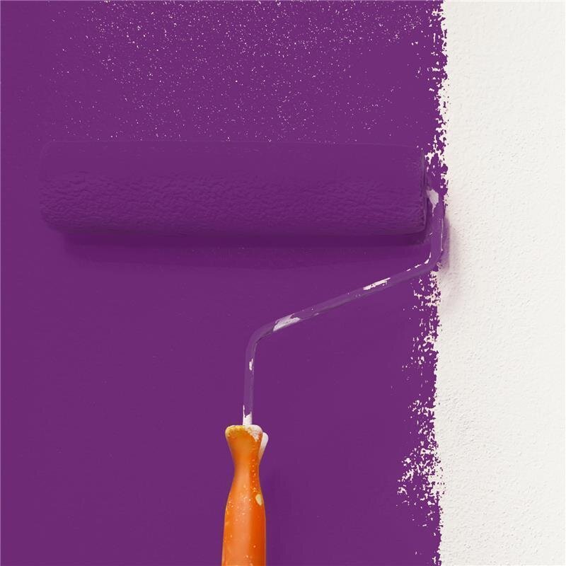 Wandfarbe NCS-S-4050-R50B Rubinblau von Wallcover Colors