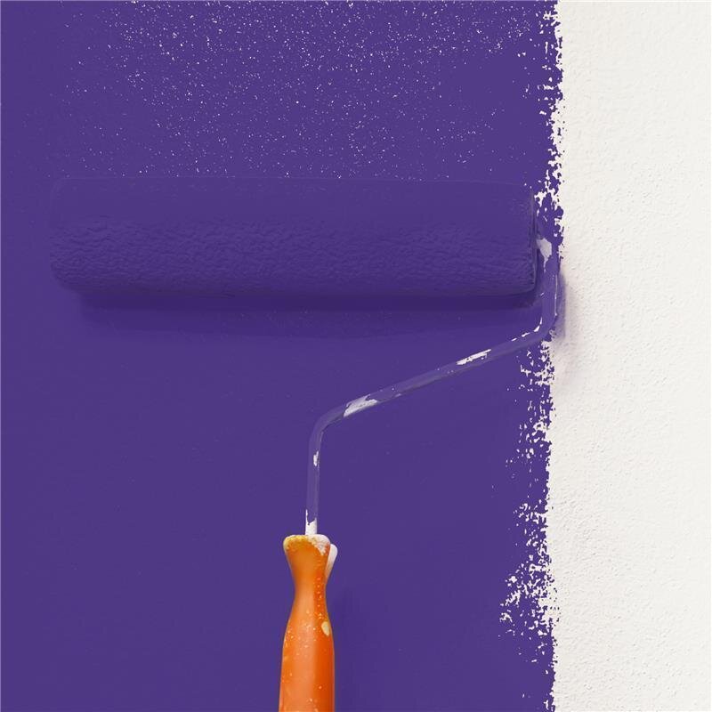 Wandfarbe NCS-S-4050-R60B Rubinblau von Wallcover Colors