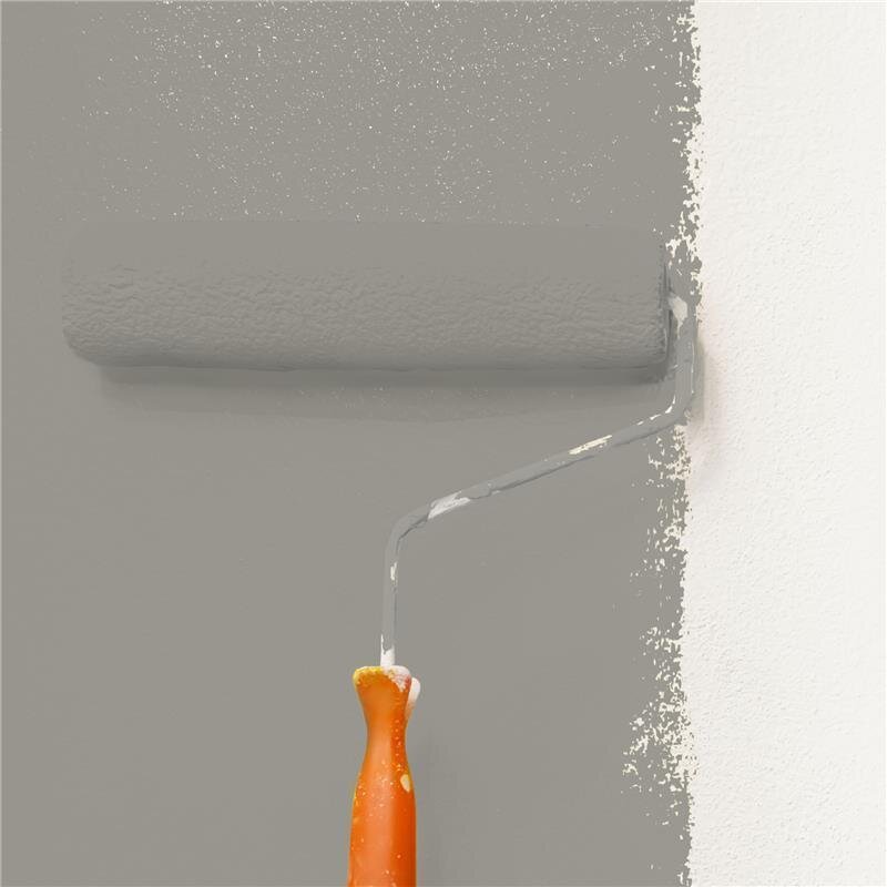 Wandfarbe NCS-S-4502-Y Nebelschleier von Wallcover Colors